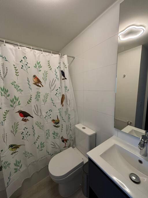 Apartment By Toore Patagonia Puerto Natales Ngoại thất bức ảnh